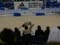 Bourg en Bresse Lorraine Prove e