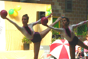 df3 cadettes