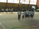 groupe Pierre Curie