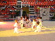 Arts martiaux! (photo D. Bino)! cliques pour agrandir! 