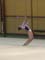 16 indiv dn - Prunelle BINO
